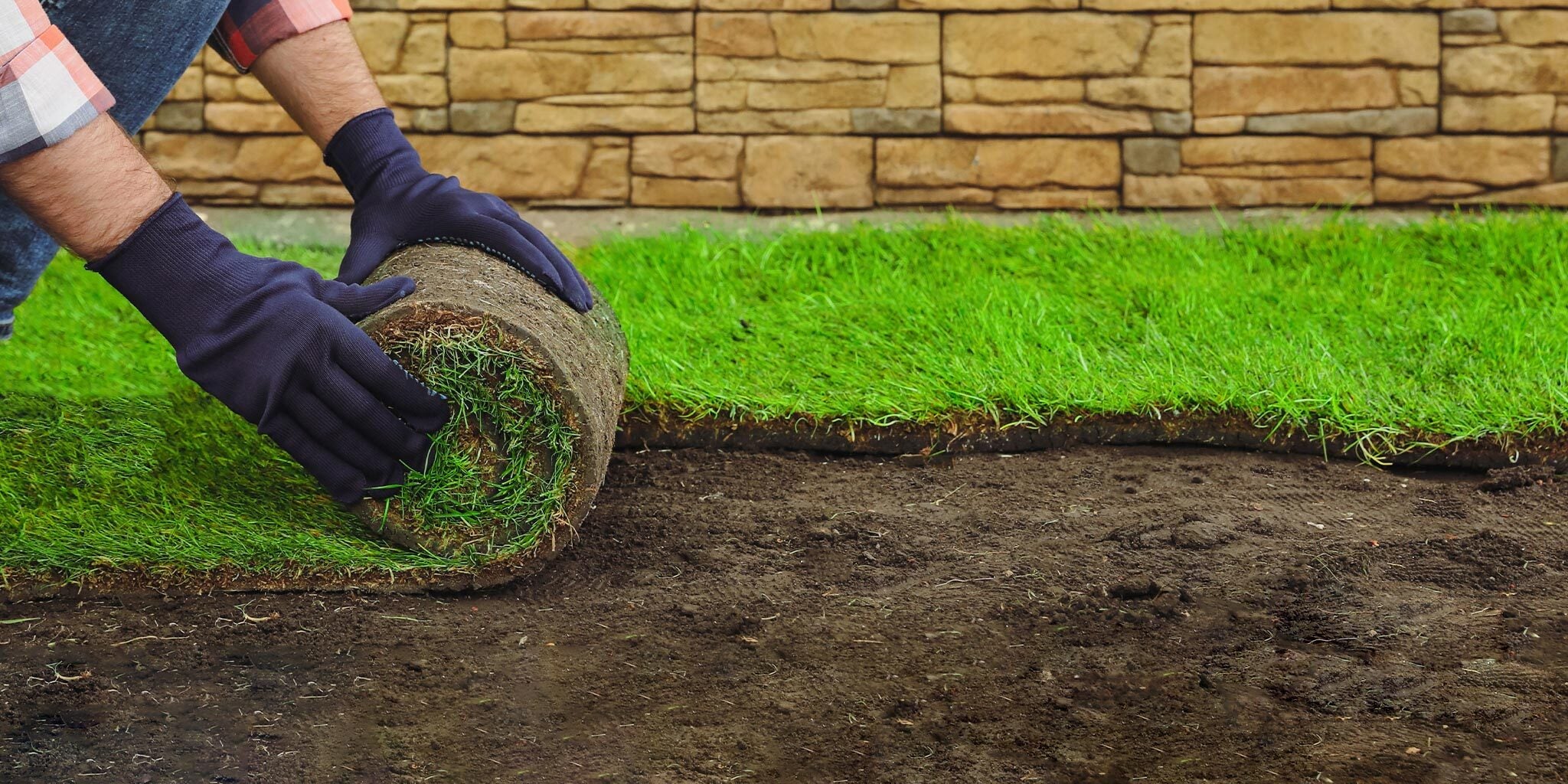 Farm-Fresh Lawns Delivered Daily